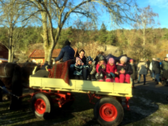 20161113_104724257_ios