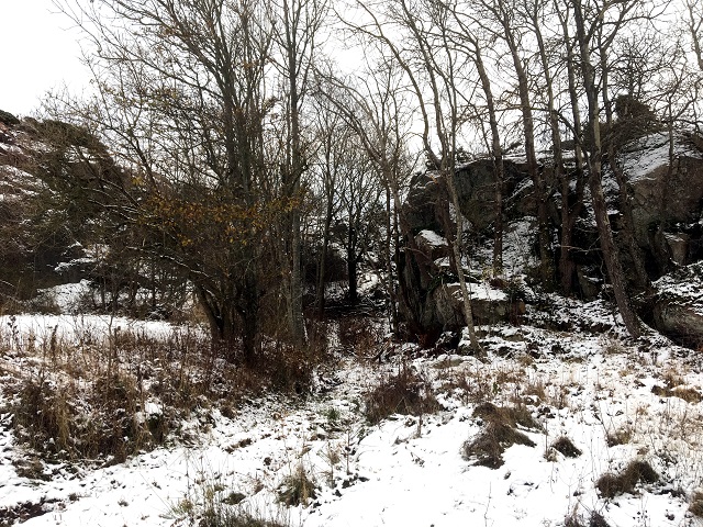 20161110_091704023_ios