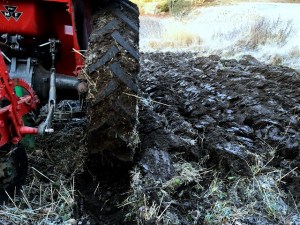 20161203_091337609_ios