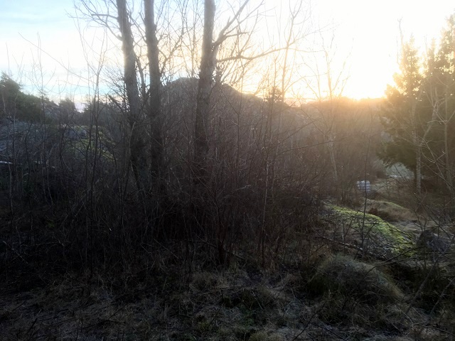 20161228_082540906_ios