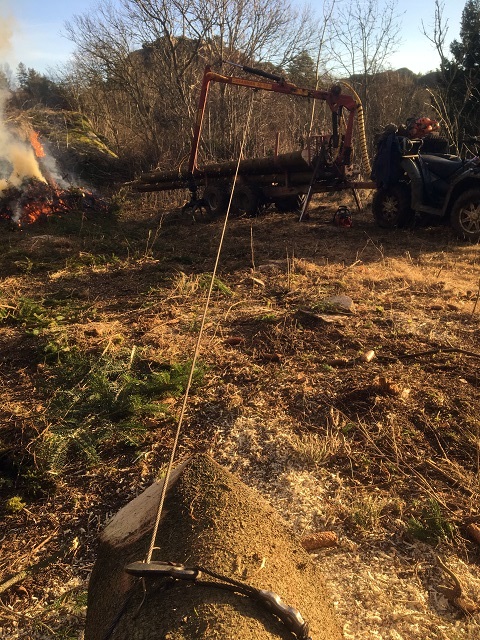 20161228_113633783_ios