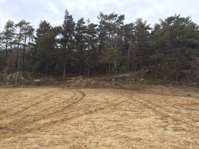 20160305_125747714_ios