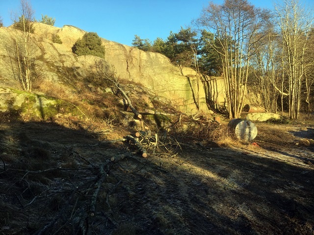 20170102_114349686_ios